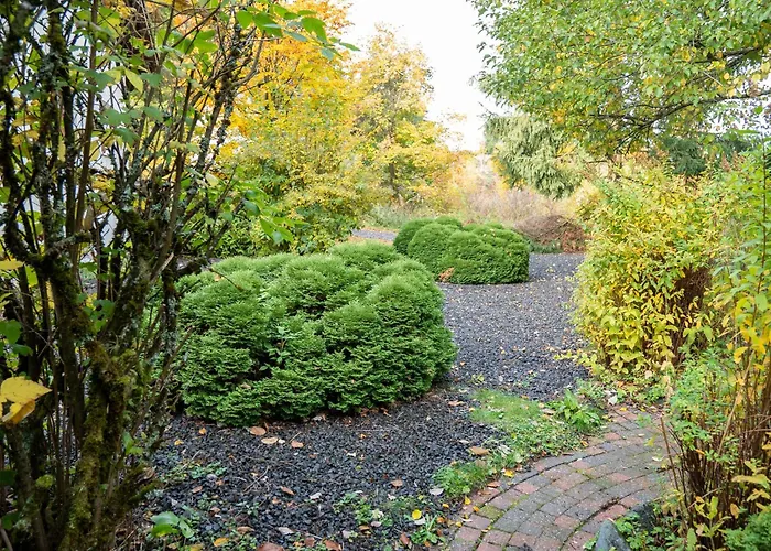 Nordhang - 4 Winterberg